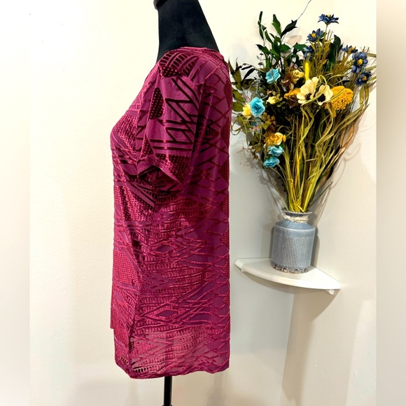 Hannah Sheer Burgundy short sleeve soft feel Top - Size Medium - Picture 3 of 7